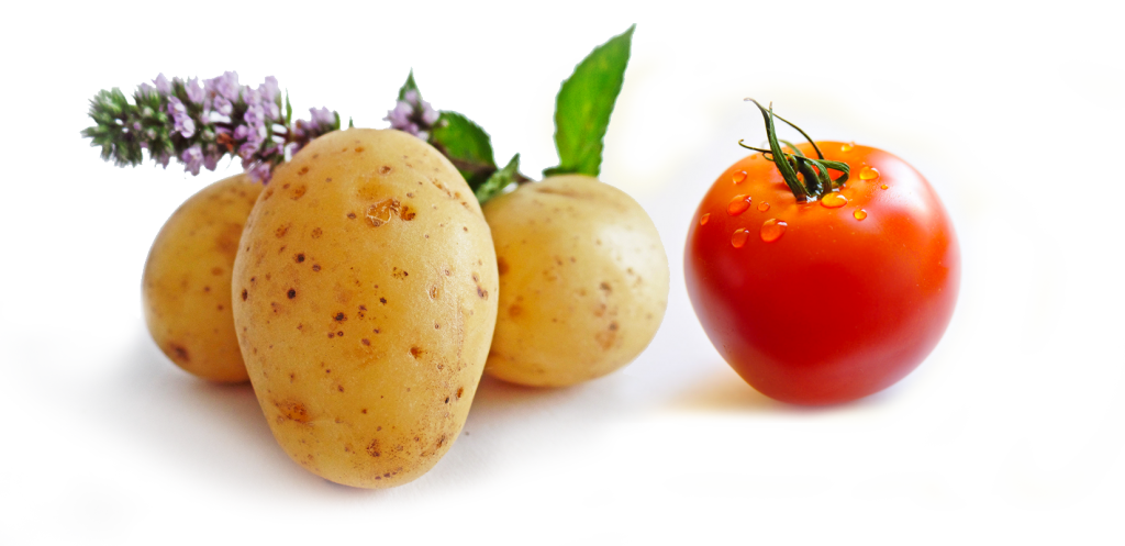 potatoes-3